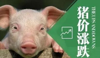 2019年生猪养殖的发展前景如何呢图3